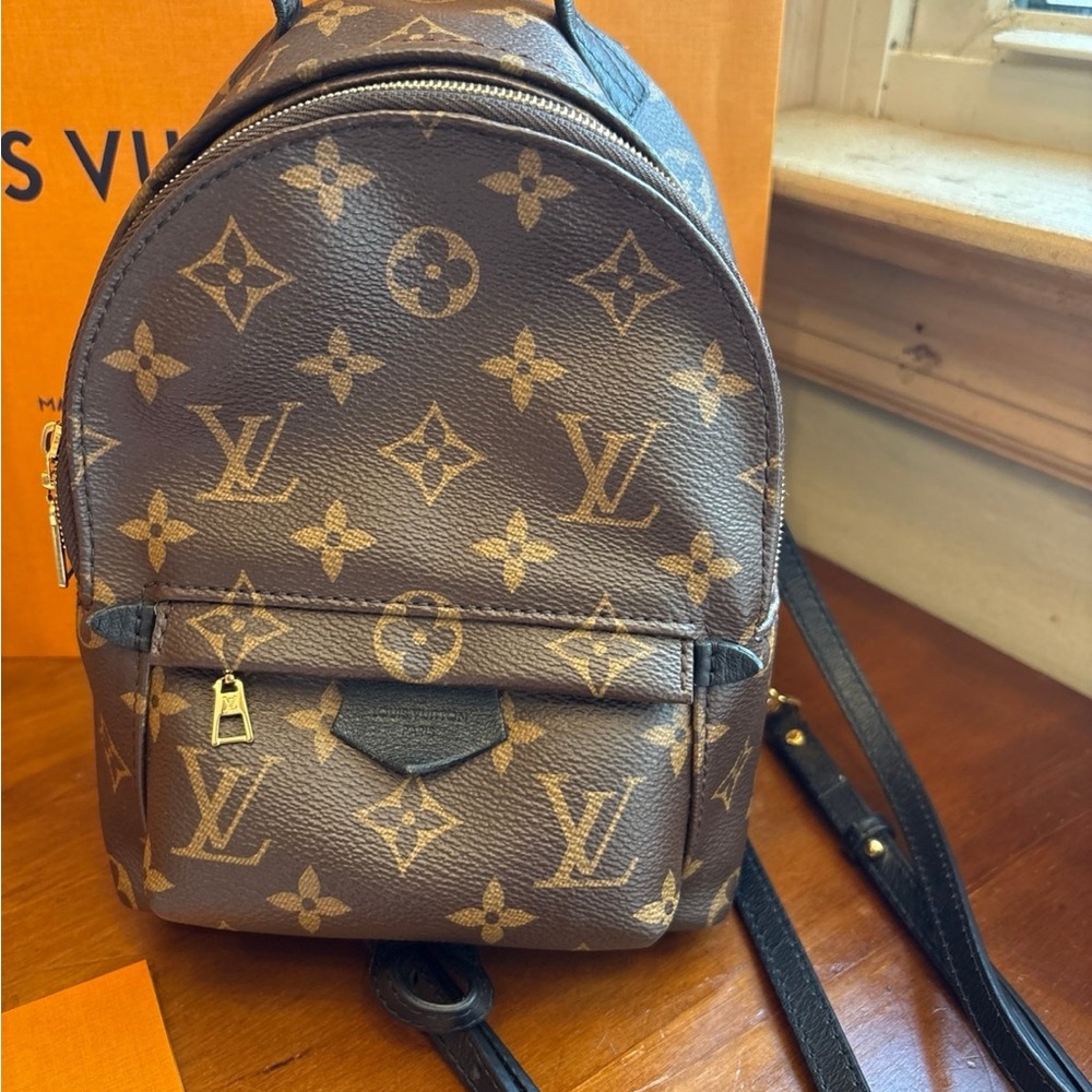 Authentic Louis Vuitton Palm Spings Mini